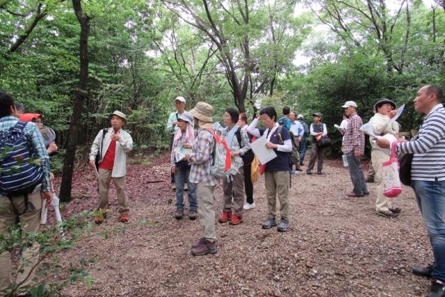 相生山の四季を歩く会　森IMG_0187 (640x427)