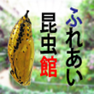 2019_ふれあい昆虫館_logo