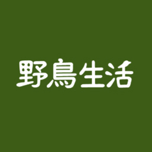 2019_野鳥生活_logo