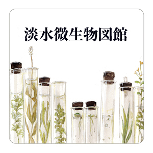 2019_淡水微生物図館_logo