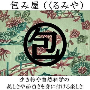 2019_包み屋 kurumiya_logo
