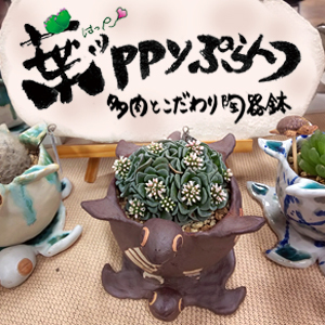 2019_葉ッppyぷらんつ～多肉とこだわり陶器鉢～_logo