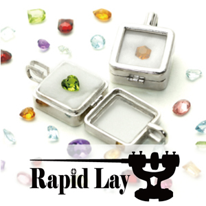 2019_Rapid Lay_logo
