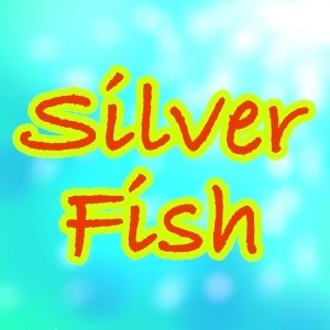 2019_Silver Fish_logo