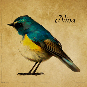 2019_Nina_logo.jpg