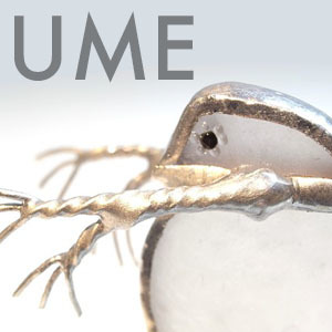 2019_UME_logo.jpg