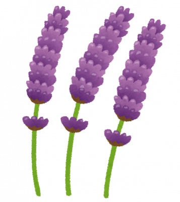 flower_lavender.png