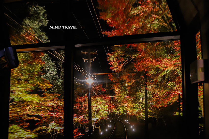 叡山電鉄　きららより紅葉のトンネルを写す