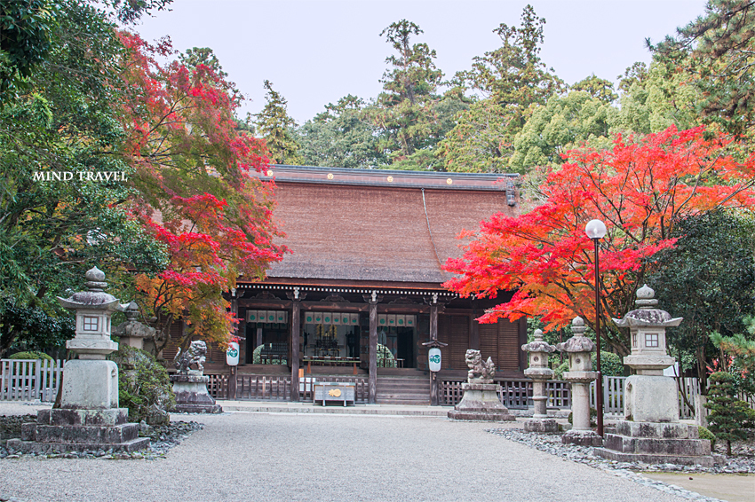 多田神社　拝殿２