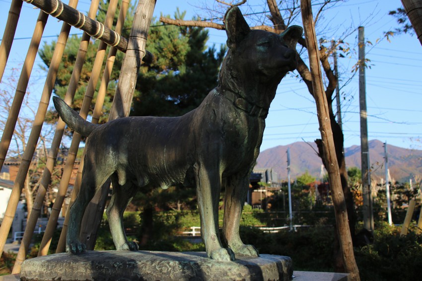 20181118_忠犬タマ公像