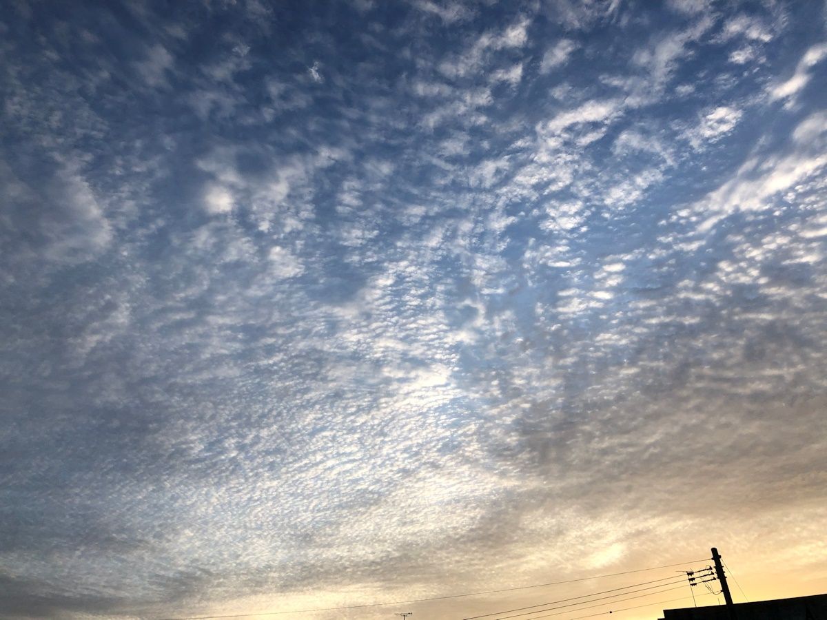 今朝のウロコ雲