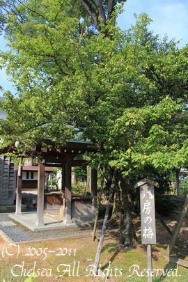 浄興寺