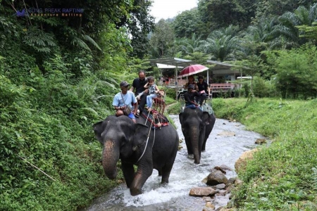 khao-lak-elephant-39.jpg