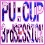 PuCup3rdsession_000.jpg